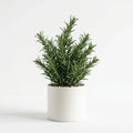 Wholesale Wholesale Artificial Rosemary - Artificial Flower Source Factory FauxFlowerHub