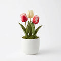 Wholesale Silk Tulip Pot - Artificial Flower Source Factory FauxFlowerHub