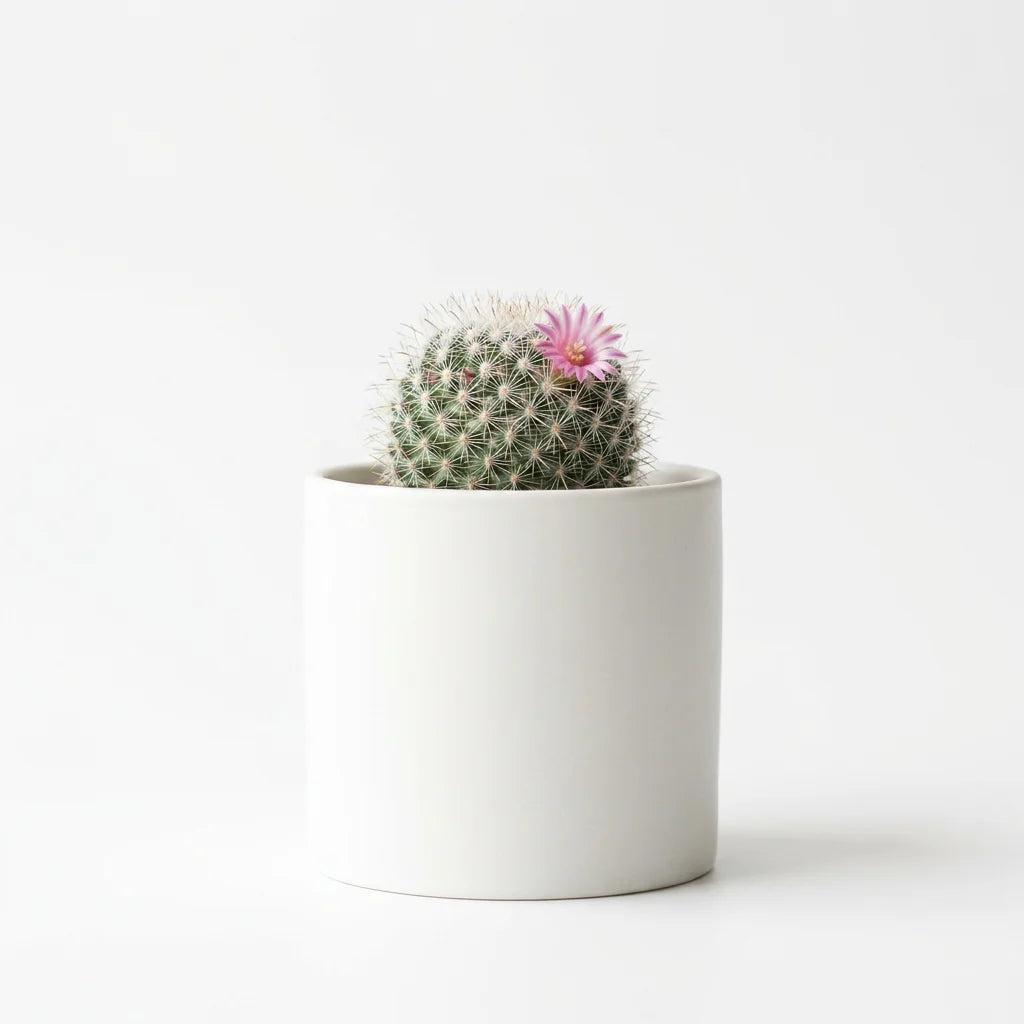 Wholesale Cactus With Flower - Artificial Flower Source Factory FauxFlowerHub