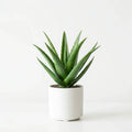 Wholesale Premium Faux Aloe Vera - Artificial Flower Source Factory FauxFlowerHub