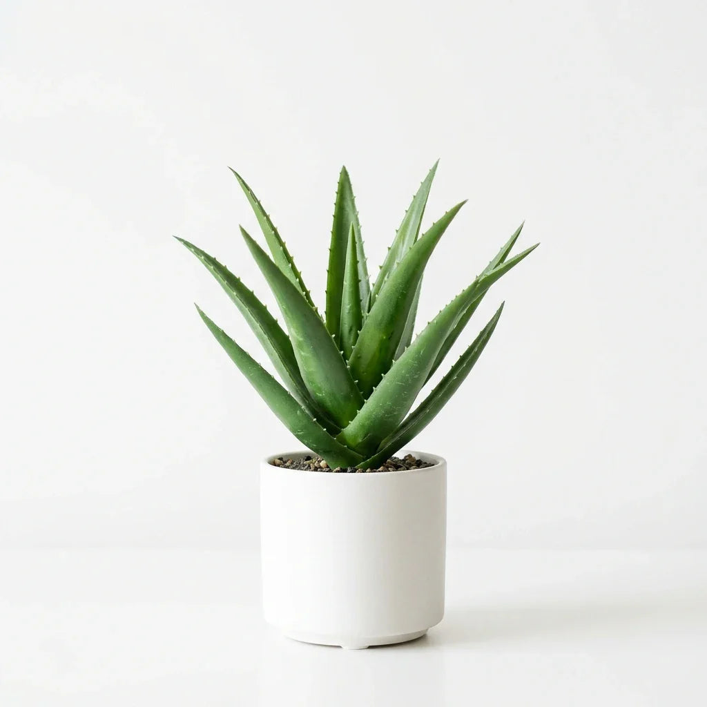 Wholesale Premium Faux Aloe Vera - Artificial Flower Source Factory FauxFlowerHub