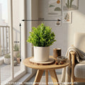 Wholesale Plant Scene A - Artificial Flower Source Factory FauxFlowerHub