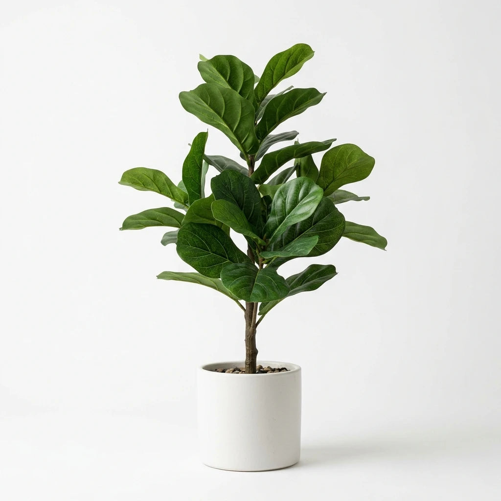 Wholesale Small Faux Monstera - Artificial Flower Source Factory FauxFlowerHub