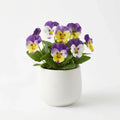 Wholesale Artificial Pansy Pot - Artificial Flower Source Factory FauxFlowerHub