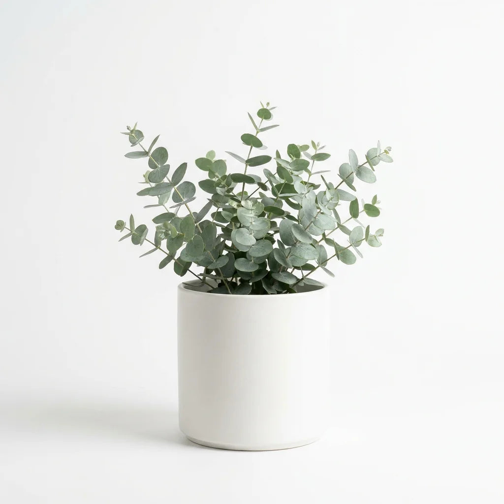 Wholesale Eucalyptus Plant - Artificial Flower Source Factory FauxFlowerHub